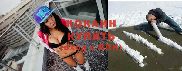 индика Армянск