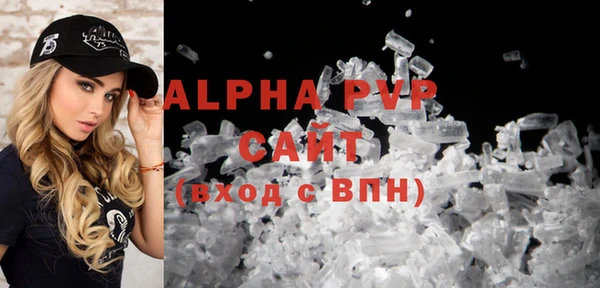 индика Армянск