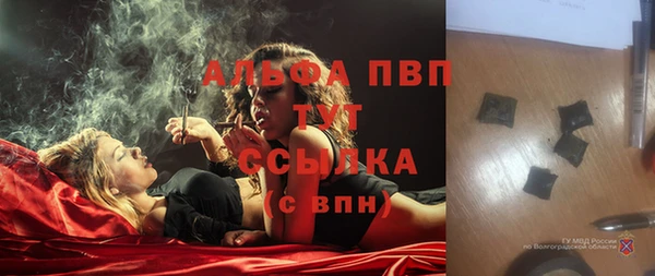 спиды Аркадак