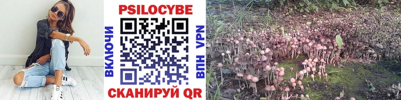 Псилоцибиновые грибы прущие грибы Майкоп